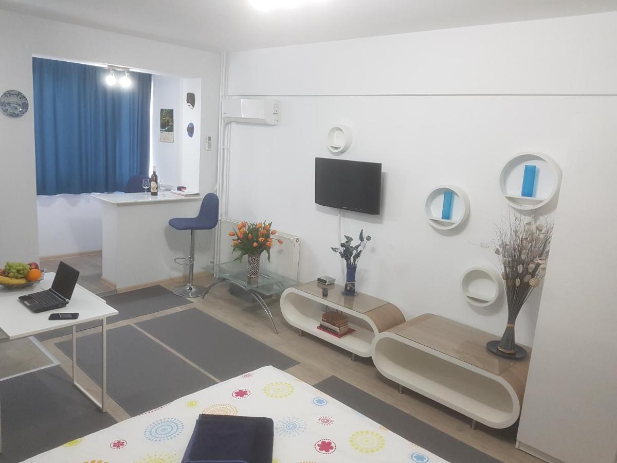 Calea Victoriei Appartement Bucarest