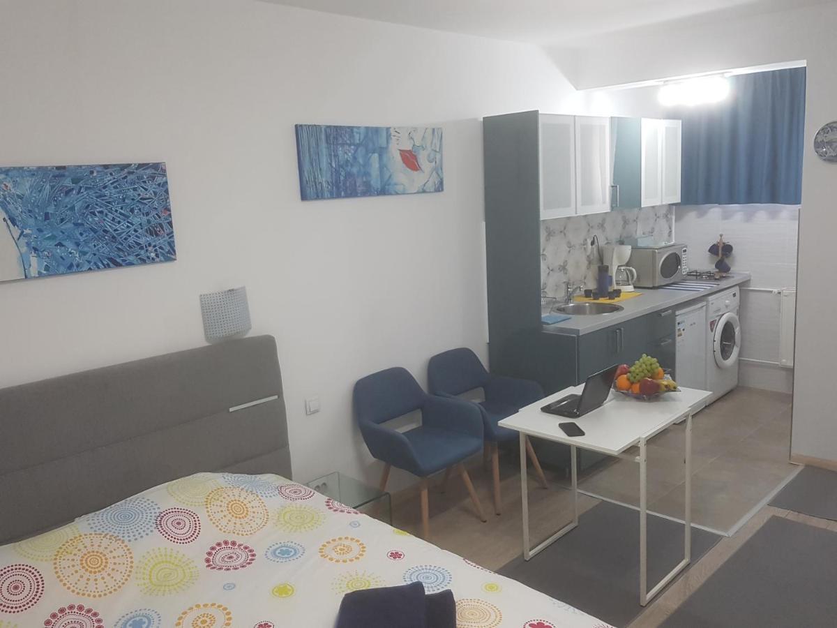 Calea Victoriei Appartement Bucarest